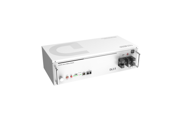 Dyness 2.56KW 24V Lithium Battery