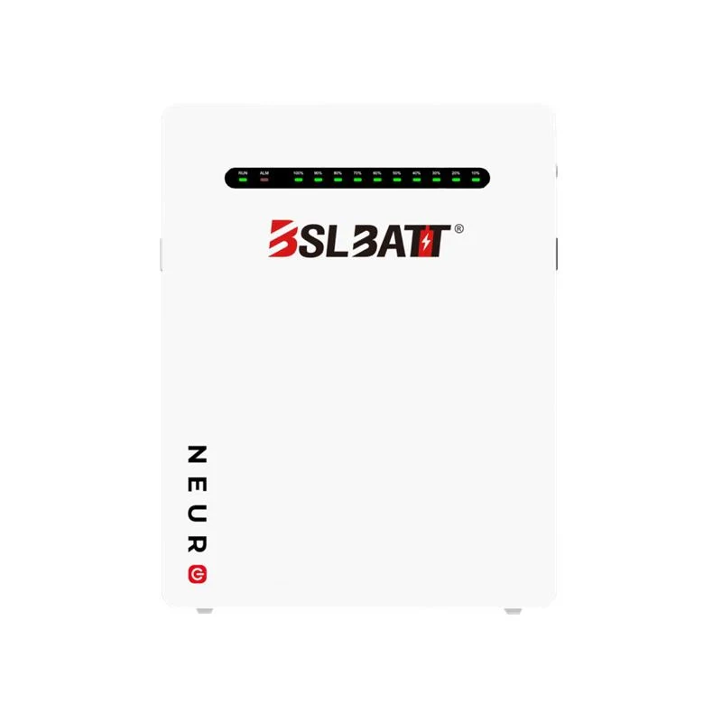 BSL Battery Neuro 16 Pro + IP65 51.2V 314Ah Wall Mount (16.1kWh)