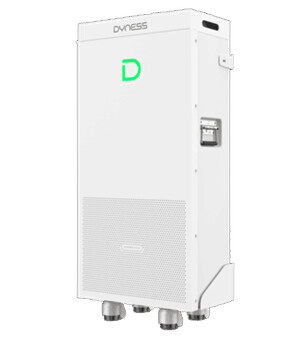 Dyness Powerbrick Max 16.07kWh 51.2V LFP Battery
